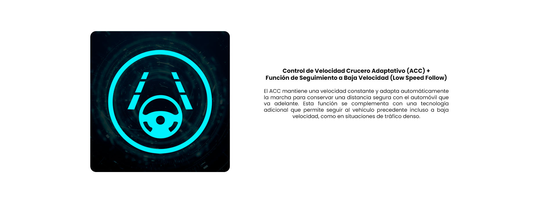 SEGURIDAD-2JPG