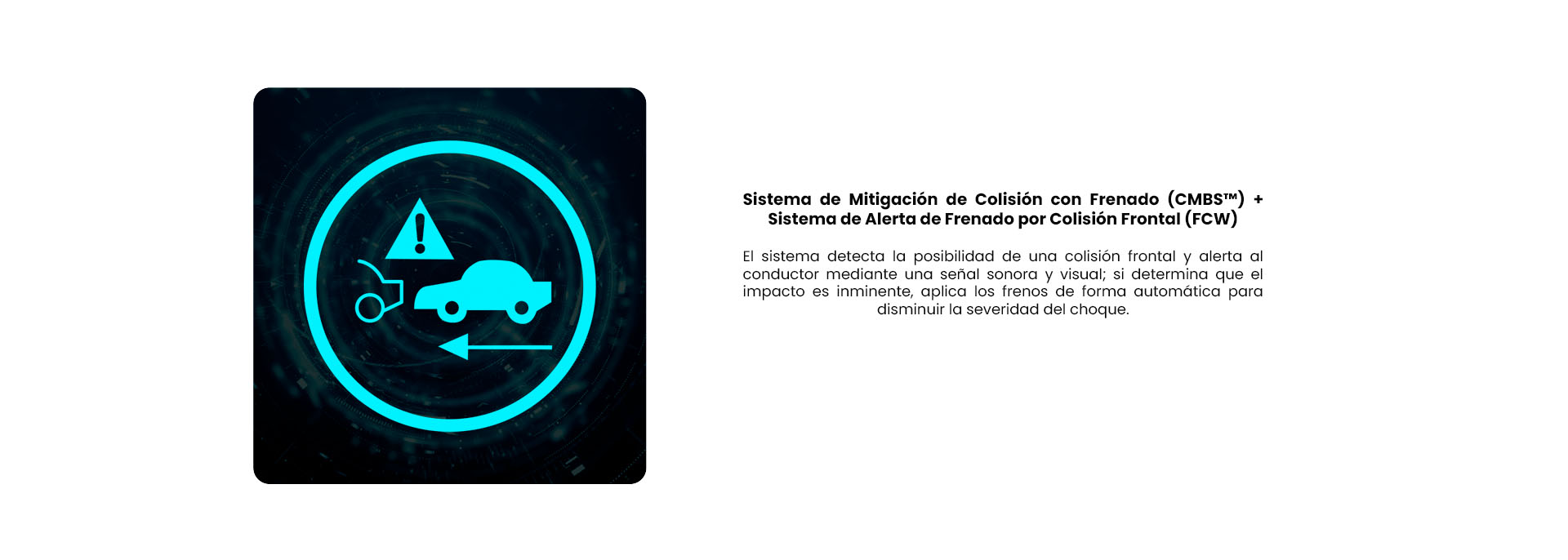 SEGURIDAD-3JPG