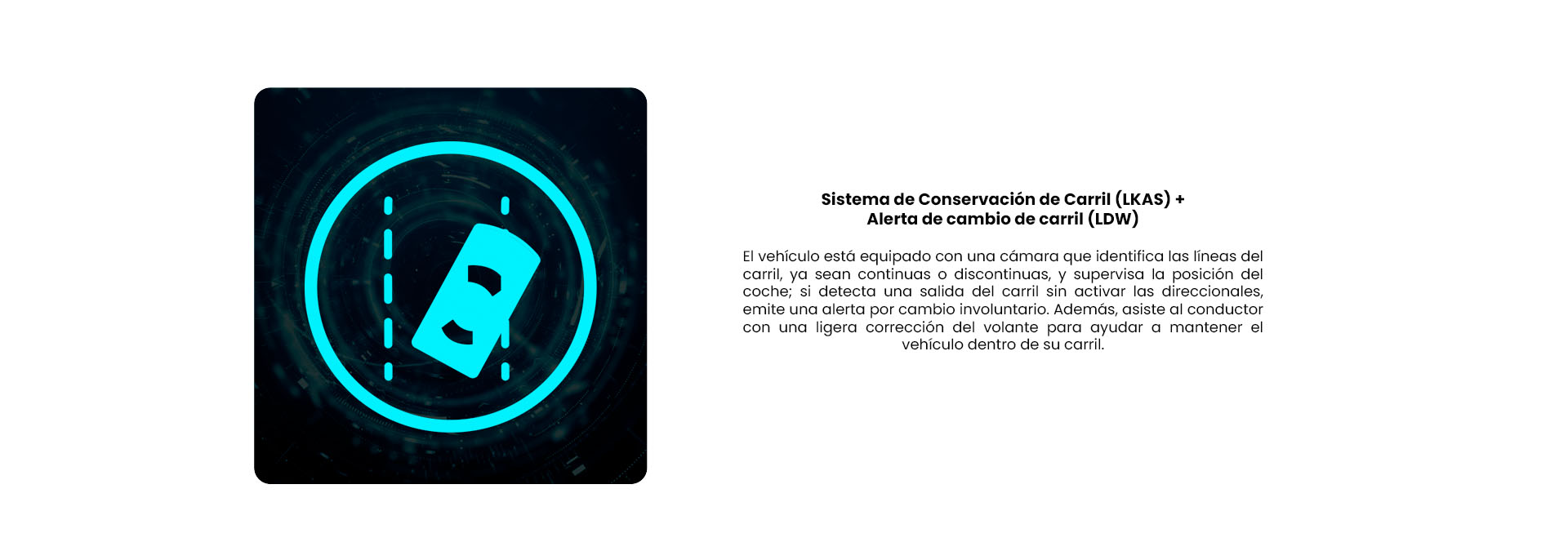 SEGURIDAD-4JPG