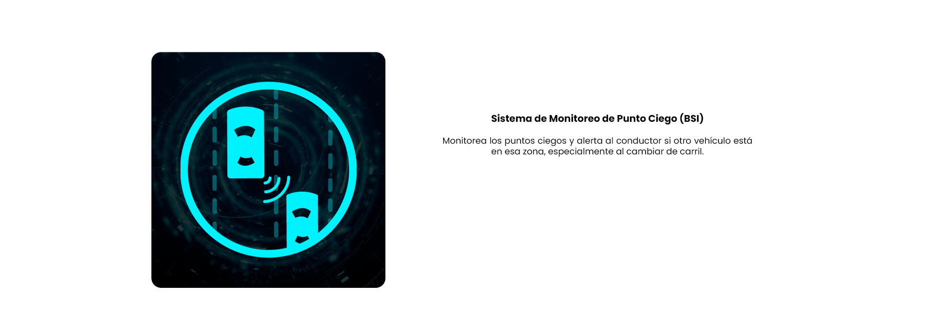 SEGURIDAD-7JPG